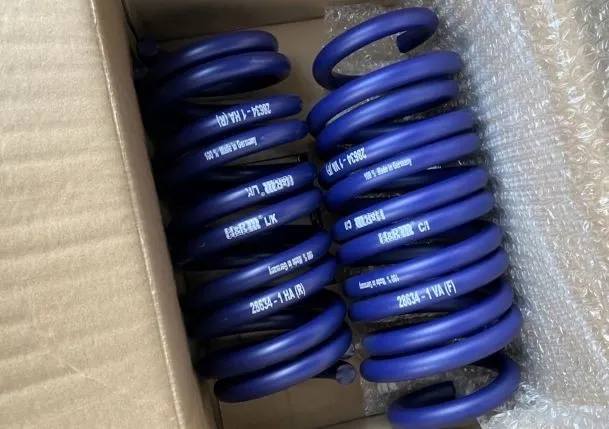 H&R 28634-1 Пружины с занижением для BMW X5 (G05) / X6 (G06)