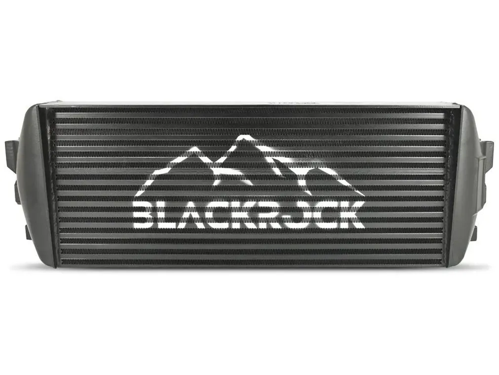 BlackRock Lab BMW-INT-0305 Интеркулер для BMW G30/31/32 5&6 серий