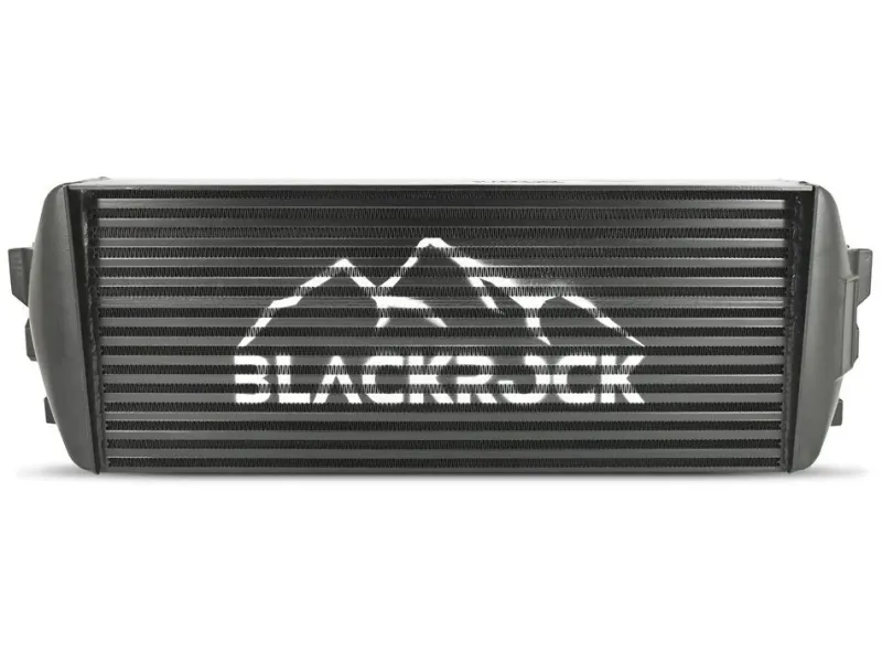 BlackRock Lab BMW-INT-0305 Интеркулер для BMW G30/31/32 5&6 серий