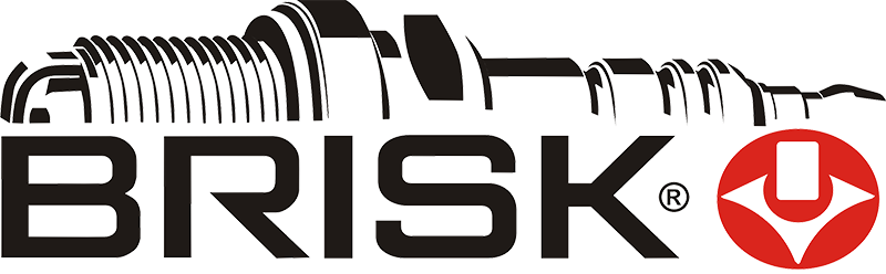 Логотип Brisk