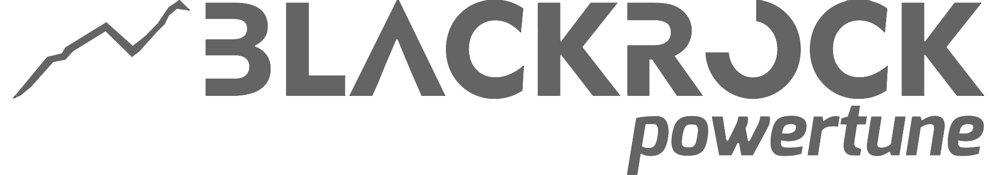 Логотип BlackRock Lab